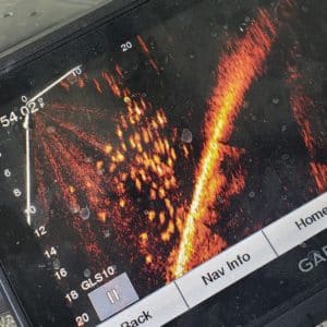 Garmin LiveScope Training